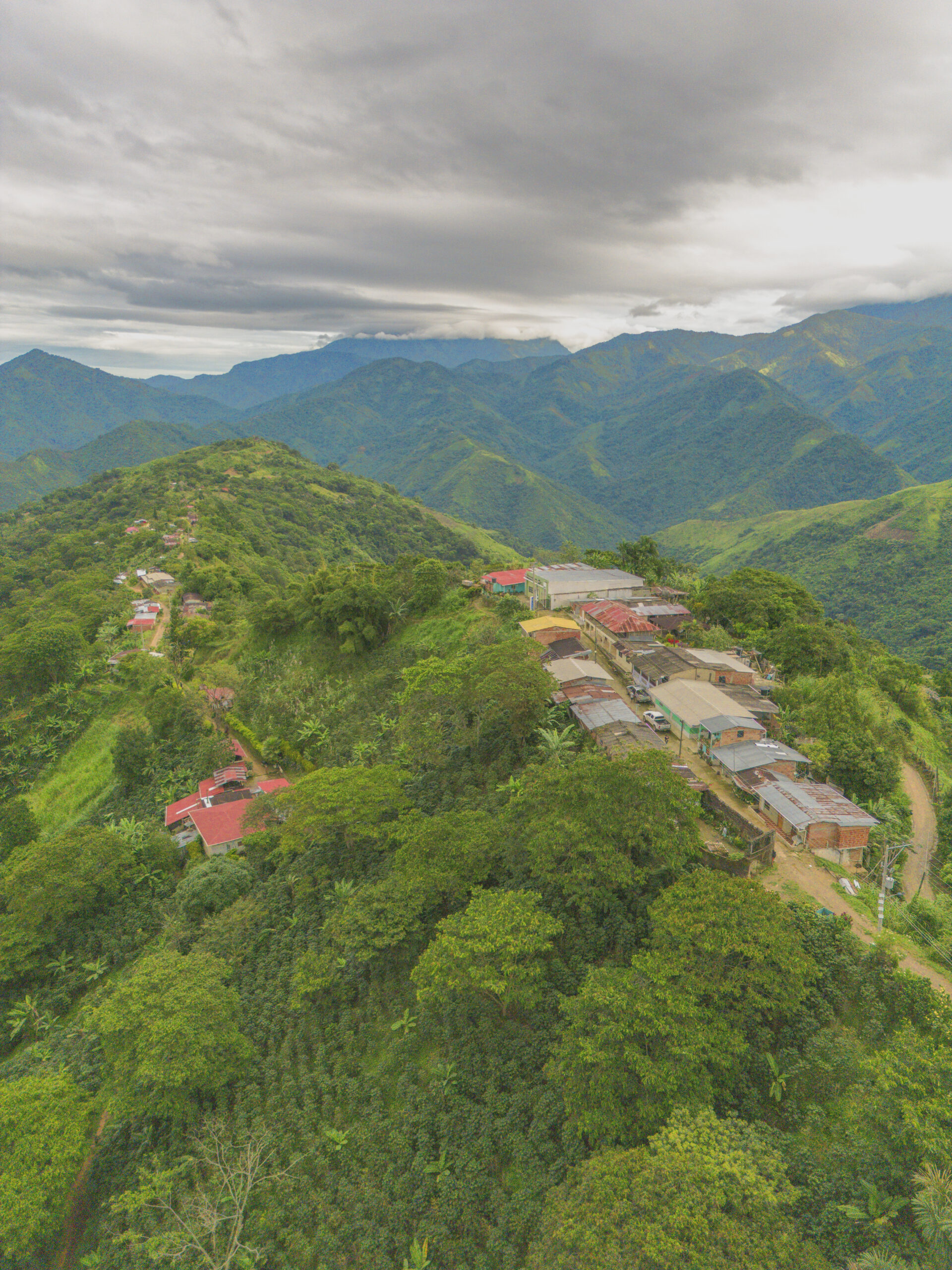 DJI_0723 copia
